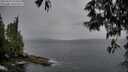 ./images/koeye/fitz-hugh/20250524/fitz-hugh20250524_194006M.jpg