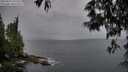 ./images/koeye/fitz-hugh/20250524/fitz-hugh20250524_195508M.jpg