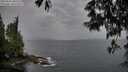 ./images/koeye/fitz-hugh/20250524/fitz-hugh20250524_200509M.jpg