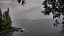 ./images/koeye/fitz-hugh/20250524/fitz-hugh20250524_202009M.jpg