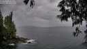 ./images/koeye/fitz-hugh/20250524/fitz-hugh20250524_203009M.jpg