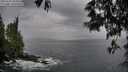 ./images/koeye/fitz-hugh/20250524/fitz-hugh20250524_204009M.jpg