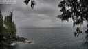 ./images/koeye/fitz-hugh/20250524/fitz-hugh20250524_204509M.jpg