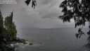 ./images/koeye/fitz-hugh/20250524/fitz-hugh20250524_205509M.jpg