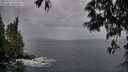 ./images/koeye/fitz-hugh/20250524/fitz-hugh20250524_210508M.jpg