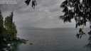 ./images/koeye/fitz-hugh/20250524/fitz-hugh20250524_211007M.jpg