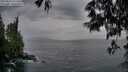 ./images/koeye/fitz-hugh/20250524/fitz-hugh20250524_211508M.jpg