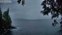 ./images/koeye/fitz-hugh/20250524/fitz-hugh20250524_214009M.jpg