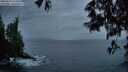 ./images/koeye/fitz-hugh/20250524/fitz-hugh20250524_214509M.jpg
