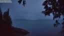 ./images/koeye/fitz-hugh/20250525/fitz-hugh20250525_045008M.jpg