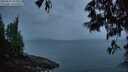 ./images/koeye/fitz-hugh/20250525/fitz-hugh20250525_051009M.jpg
