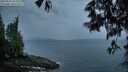 ./images/koeye/fitz-hugh/20250525/fitz-hugh20250525_052009M.jpg
