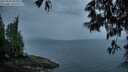 ./images/koeye/fitz-hugh/20250525/fitz-hugh20250525_052509M.jpg