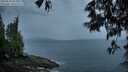 ./images/koeye/fitz-hugh/20250525/fitz-hugh20250525_053009M.jpg