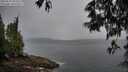 ./images/koeye/fitz-hugh/20250525/fitz-hugh20250525_055508M.jpg