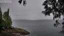 ./images/koeye/fitz-hugh/20250525/fitz-hugh20250525_065010M.jpg