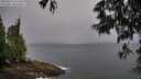 ./images/koeye/fitz-hugh/20250525/fitz-hugh20250525_073510M.jpg