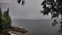 ./images/koeye/fitz-hugh/20250525/fitz-hugh20250525_082011M.jpg