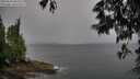 ./images/koeye/fitz-hugh/20250525/fitz-hugh20250525_084511M.jpg