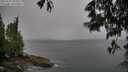 ./images/koeye/fitz-hugh/20250525/fitz-hugh20250525_090011M.jpg