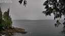 ./images/koeye/fitz-hugh/20250525/fitz-hugh20250525_090510M.jpg