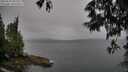 ./images/koeye/fitz-hugh/20250525/fitz-hugh20250525_091511M.jpg
