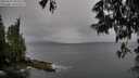 ./images/koeye/fitz-hugh/20250525/fitz-hugh20250525_093509M.jpg