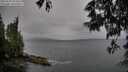 ./images/koeye/fitz-hugh/20250525/fitz-hugh20250525_094010M.jpg