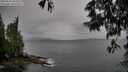 ./images/koeye/fitz-hugh/20250525/fitz-hugh20250525_094509M.jpg
