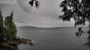 ./images/koeye/fitz-hugh/20250525/fitz-hugh20250525_103011M.jpg
