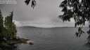 ./images/koeye/fitz-hugh/20250525/fitz-hugh20250525_104011M.jpg