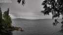 ./images/koeye/fitz-hugh/20250525/fitz-hugh20250525_104508M.jpg