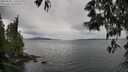 ./images/koeye/fitz-hugh/20250525/fitz-hugh20250525_110510M.jpg