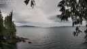 ./images/koeye/fitz-hugh/20250525/fitz-hugh20250525_111010M.jpg