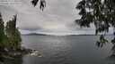 ./images/koeye/fitz-hugh/20250525/fitz-hugh20250525_113011M.jpg