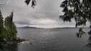./images/koeye/fitz-hugh/20250525/fitz-hugh20250525_114011M.jpg