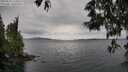 ./images/koeye/fitz-hugh/20250525/fitz-hugh20250525_114510M.jpg