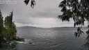 ./images/koeye/fitz-hugh/20250525/fitz-hugh20250525_120010M.jpg