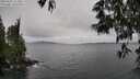 ./images/koeye/fitz-hugh/20250525/fitz-hugh20250525_121010M.jpg