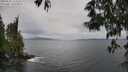 ./images/koeye/fitz-hugh/20250525/fitz-hugh20250525_122510M.jpg