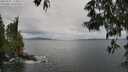 ./images/koeye/fitz-hugh/20250525/fitz-hugh20250525_123011M.jpg