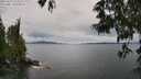 ./images/koeye/fitz-hugh/20250525/fitz-hugh20250525_124511M.jpg