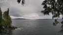 ./images/koeye/fitz-hugh/20250525/fitz-hugh20250525_130510M.jpg