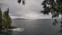 ./images/koeye/fitz-hugh/20250525/fitz-hugh20250525_131009M.jpg