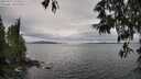 ./images/koeye/fitz-hugh/20250525/fitz-hugh20250525_132510M.jpg