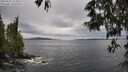 ./images/koeye/fitz-hugh/20250525/fitz-hugh20250525_133011M.jpg
