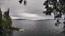 ./images/koeye/fitz-hugh/20250525/fitz-hugh20250525_134008M.jpg
