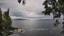 ./images/koeye/fitz-hugh/20250525/fitz-hugh20250525_140510M.jpg