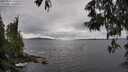 ./images/koeye/fitz-hugh/20250525/fitz-hugh20250525_142510M.jpg