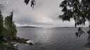 ./images/koeye/fitz-hugh/20250525/fitz-hugh20250525_144509M.jpg